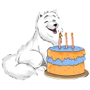 Video sticker 🎂 Birthday Collection - Great Stickers