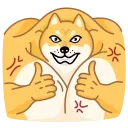 Video sticker 👍 Doge