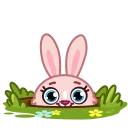Video sticker 👍 Mia Bunny