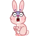 Video sticker 😨 Mia Bunny