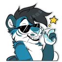 Video sticker 😎 aerykitty