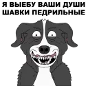 Video sticker 😡 Мистер Пиклз @eeZee_stickers