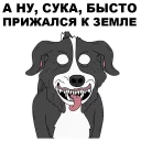 Sticker 😠 Мистер Пиклз @eeZee_stickers