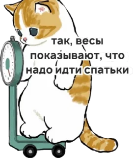 Video sticker 🥱 котик