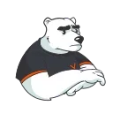 Video sticker 😢 Boris the Coach by Virtus.pro