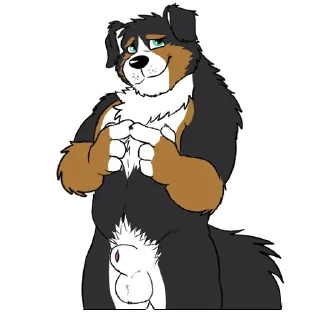 Video sticker 😅 Lucas the Bernese and Friends @LucasReturns