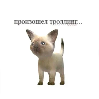 Sticker 😕 Спулае'с пак by @fStikBot