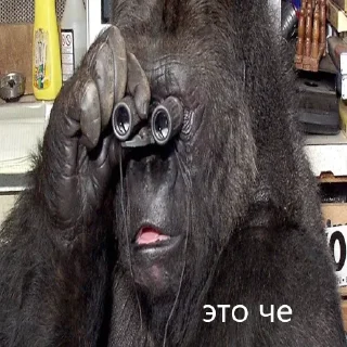 Sticker 🦍 кринж гориллы