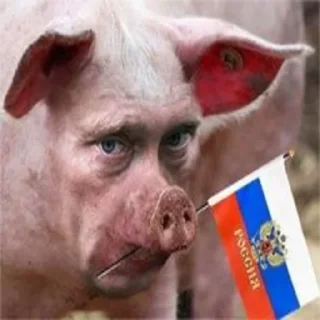 Sticker 🐷 Шикарна русофобія