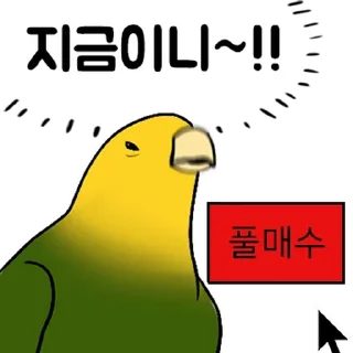 Video sticker 💬 투자 전문가, 껄무새 By @KakaoEmoticon