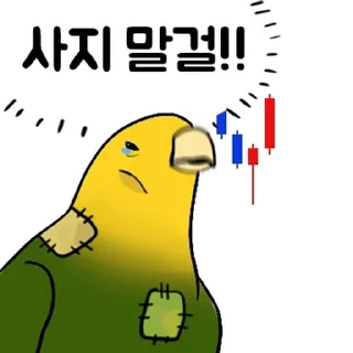 Video sticker 💬 투자 전문가, 껄무새 By @KakaoEmoticon