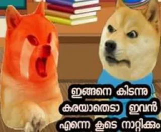 Sticker 😠 doge malayalam