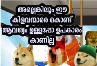 Sticker 😭 doge malayalam