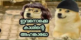 Sticker 😠 doge malayalam