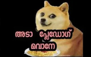 Sticker 💦 doge malayalam