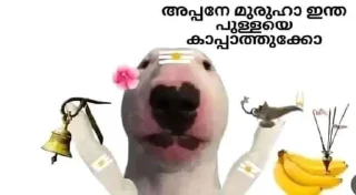 Sticker 🙏 doge malayalam