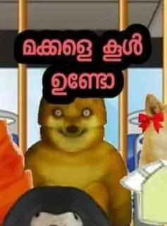 Sticker 🚬 doge malayalam