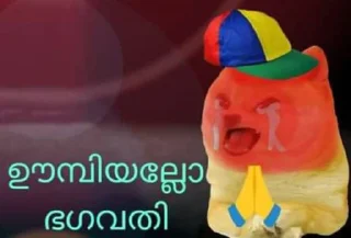 Video sticker 😭 doge malayalam