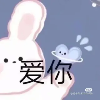 Video sticker ❤️ 咏琪yongqi♡