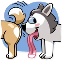 Video sticker 😍 Chuck the Husky