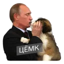 Sticker 💋 putin