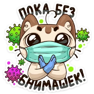 Video sticker 🦠 Котик