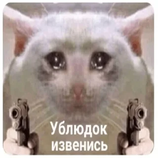 Sticker 😿 Другая жизень 😿