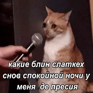 Sticker 😭 Другая жизень 😿