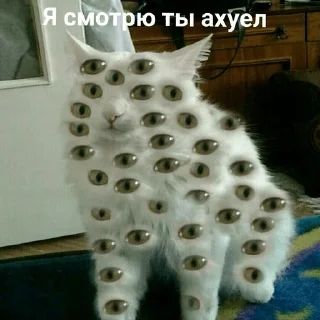 Video sticker 👀 Другая жизень 😿