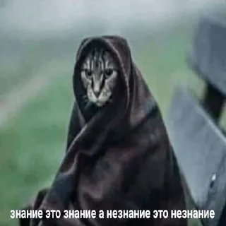 Video sticker 👽 Другая жизень 😿