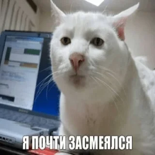 Sticker 😐 Другая жизень 😿