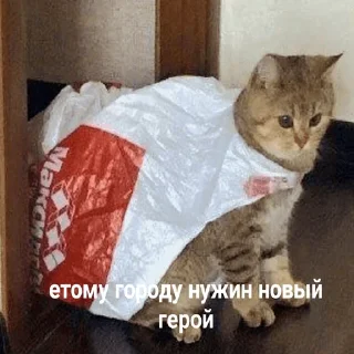 Sticker 👻 Другая жизень 😿