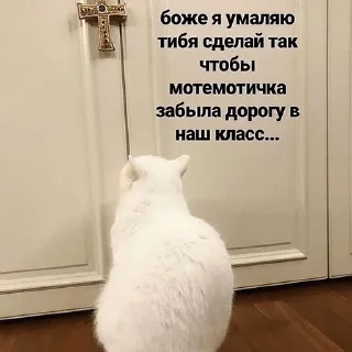 Sticker 😺 Другая жизень 😿