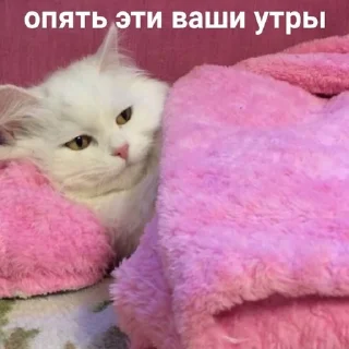 Sticker 😰 Другая жизень 😿