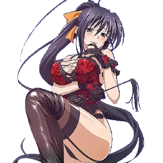 Video sticker 😄 Akeno @anime_stickers_pack