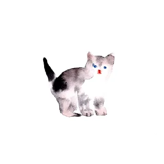 Sticker 🐱 я тебя тоже