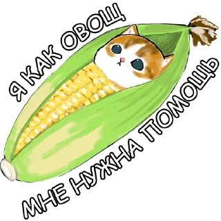 Video sticker 🌽 Котики mofu_sand