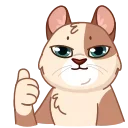 Video sticker 👍 Memes With Cats