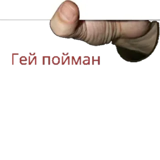 Video sticker 🔼 Стикеры @stickrubot @textmeru_bot