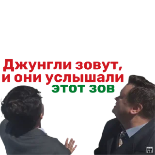 Video sticker 🐵 ЧинЧинЧенэл