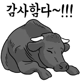 Sticker 💬 내가 흑우라니... By @KakaoEmoticon