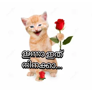 Sticker 😉 @Archana_38 𝓜𝓮𝓸𝔀 𝓜𝓮𝓸𝔀😺