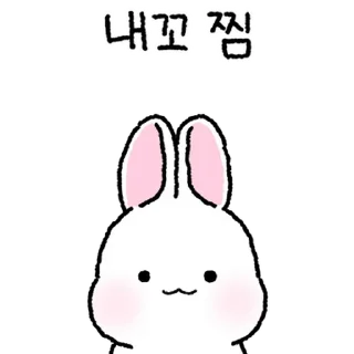 Video sticker 💬 토찌는 하뚜하뚜해 5 By @KakaoEmoticon