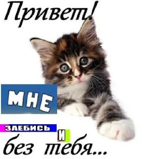 Sticker 👋 уебанские открытки - @postpozhelaniya