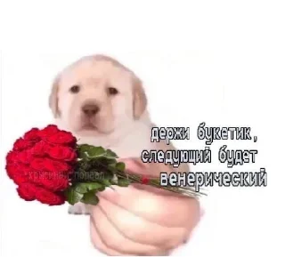 Sticker 💐 уебанские открытки - @postpozhelaniya