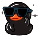 Video sticker 😎 Black Duck :: @stickers_chaos