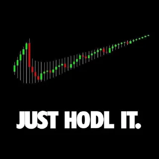 Sticker 🚀 HODL