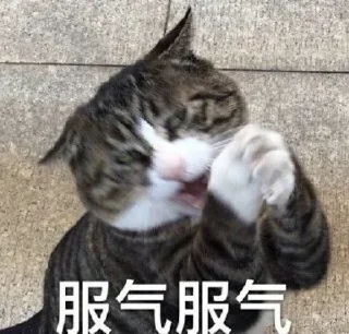 Video sticker 😃 还是咩都无，又穷又样衰