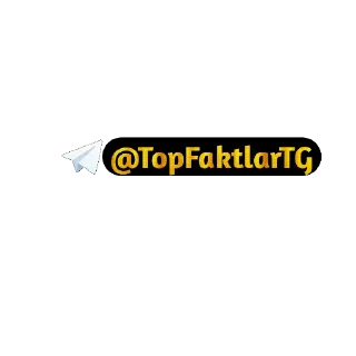 Video sticker 📥 TopFaktlarTG