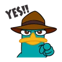 Video sticker 😠 Perry/Agent P
